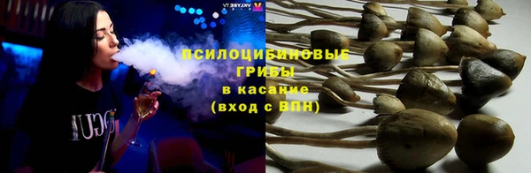 PSILOCYBIN Майский