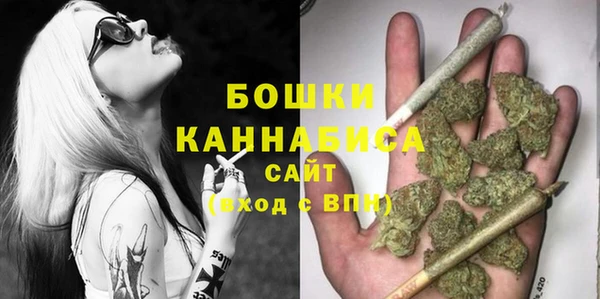 гидра Наволоки