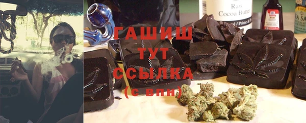 PSILOCYBIN Майский