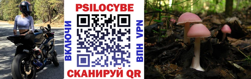 Псилоцибиновые грибы мухоморы  Кочубеевское 