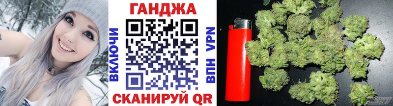 где купить   Кочубеевское  Канабис планчик 